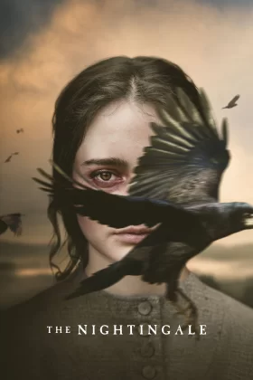 owl-carousel-video-image