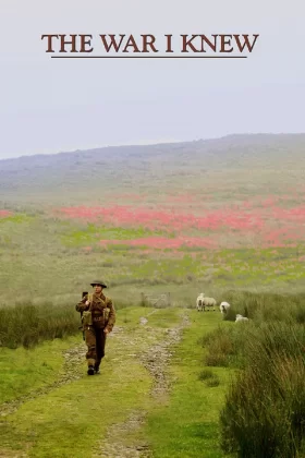 Tek Başına – The War I Knew 