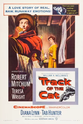 Kedinin İzinde - Track of the Cat 