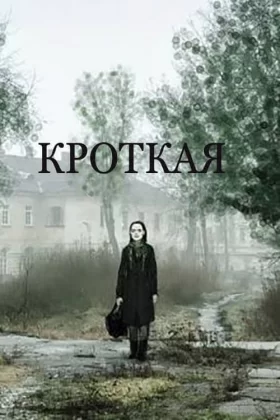 Uysal Bir Ruh - Кроткая
