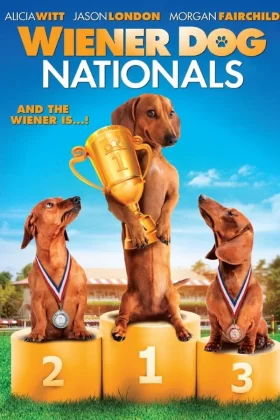 Shelly: Dört Ayaklı Şampiyon - Wiener Dog Nationals 