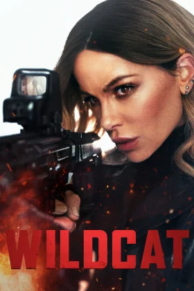owl-carousel-video-image
