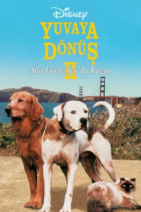 Yuvaya Dönüş II: San Francisco'da Kayıp - Homeward Bound II Lost in San Francisco